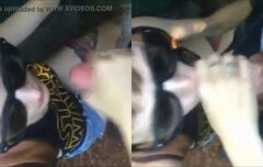 Gata safada chupando rola escondida na rua e pedindo pra gozar na boca